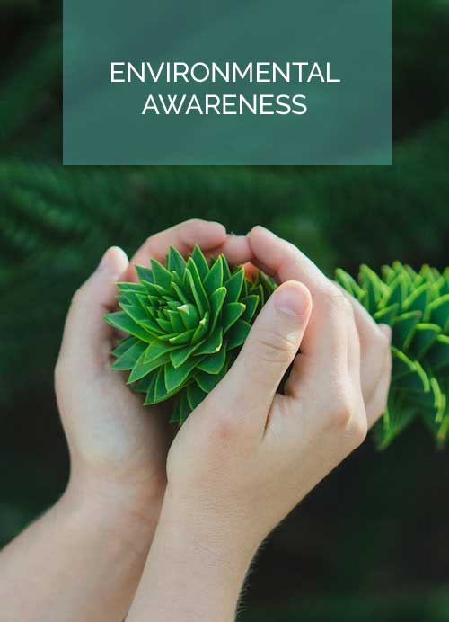 Environmental Awareness Holding Flower Hand