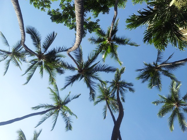 REW_SolarHawaii