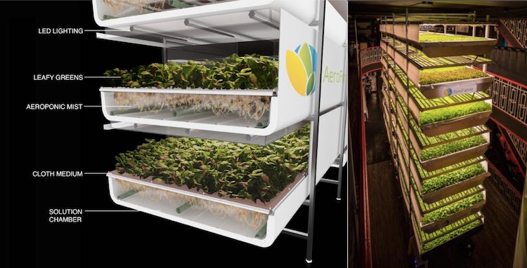 Vertical Farm 1 released Aero Farms