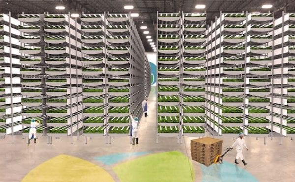 Vertical Farm 2 released Aero Farms