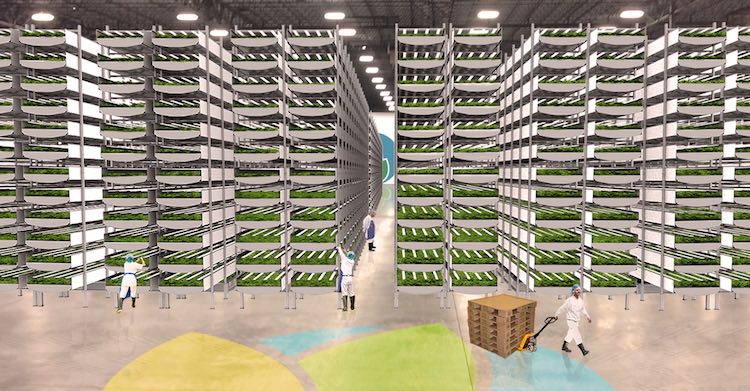 Vertical Farm 2 released Aero Farms