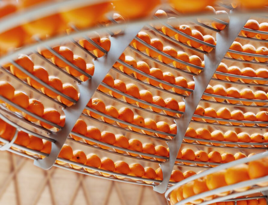 orange juice machine with dome of oranges