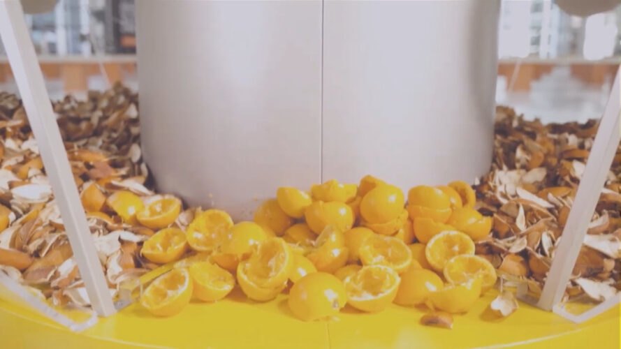 halves of oranges