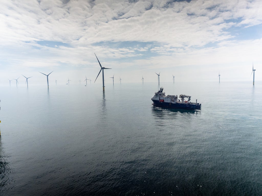 offshore wind 