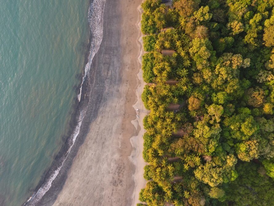aerial view of forest and beach in Panama