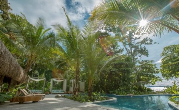 covered lounge chairs by a pool surrounded by palm trees