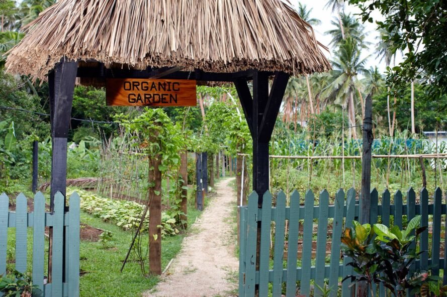 pavilion with thatched hut leading to a lush organic garden