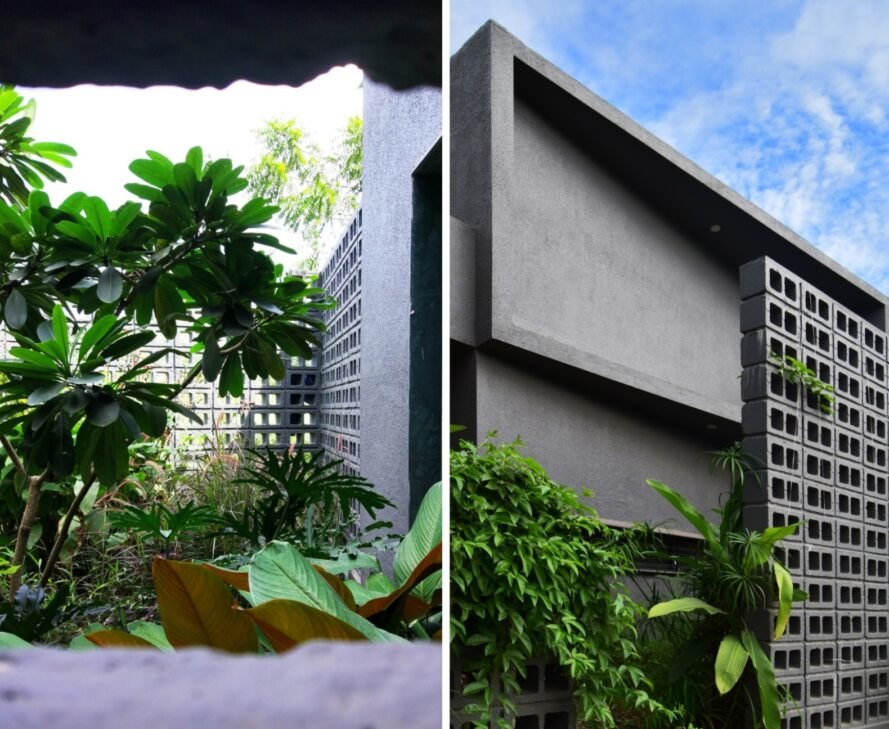 two images. to the left, a tall green plant with a concrete wall behind it. to the right, a large concrete structure with greenery poking out of it